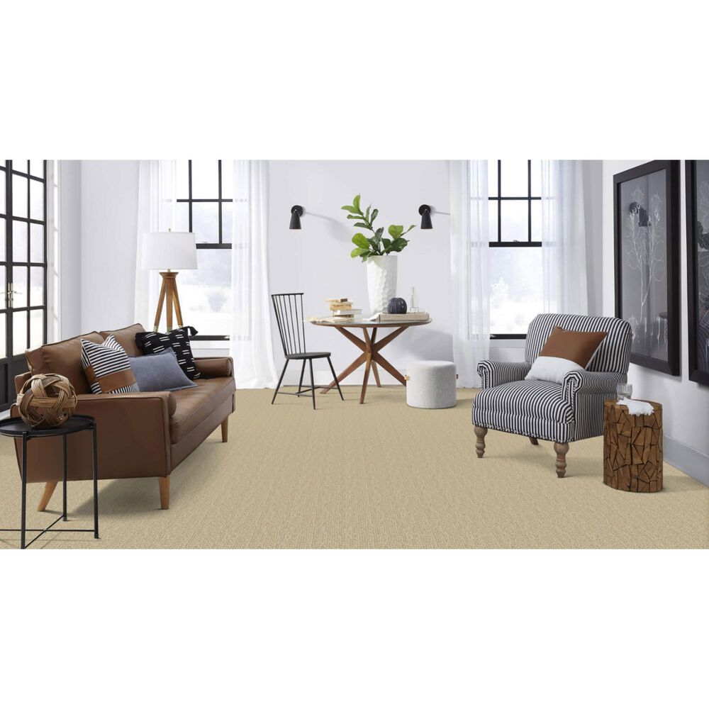 Masland Mesa Verde Carpet in Bleeker, , large
