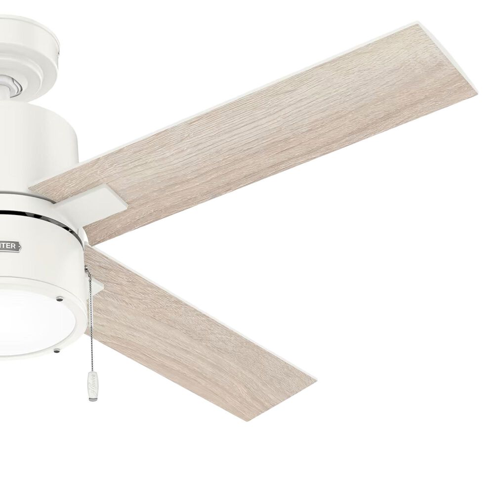 Hampton Bay Ceiling Fan Making Ticking Noise Shelly Lighting