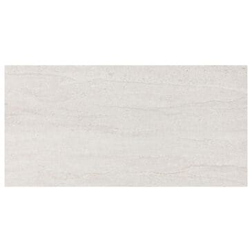 Dal-Tile Haddonstone Peony Rectangle Vein Cut 12" x 24" Satin Polished Porcelain Tile, , large