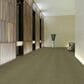Shaw Primus Carpet in To Begin With, , large