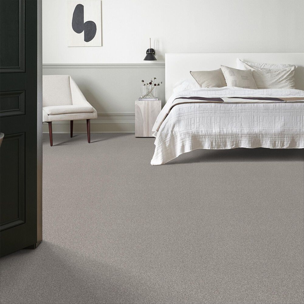 Anderson Tuftex Terra Nova Carpet in Platinum, , large