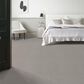Anderson Tuftex Terra Nova Carpet in Platinum, , large