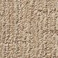 Anderson Tuftex Wanderer Carpet in Peanut Shell, , large