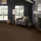 Anderson Tuftex Finery Carpet in Leather, , large