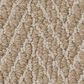 Anderson Tuftex Always Natural Carpet in Cork, , large