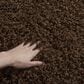 Safavieh Athens Shag SGA119A-3 3" x 5" Brown Area Rug, , large