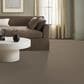 Anderson Tuftex Somerset Carpet in Chic Taupe, , large