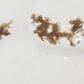 Maple and Jade 3-Piece Bird Decorative Sculpture Set in White and Red-Orange, , large