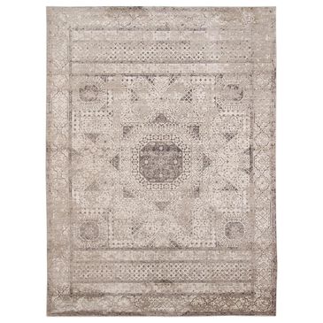 Amer Rugs Cambridge Oriental 2" x 3"3" Light Gray Area Rug, , large