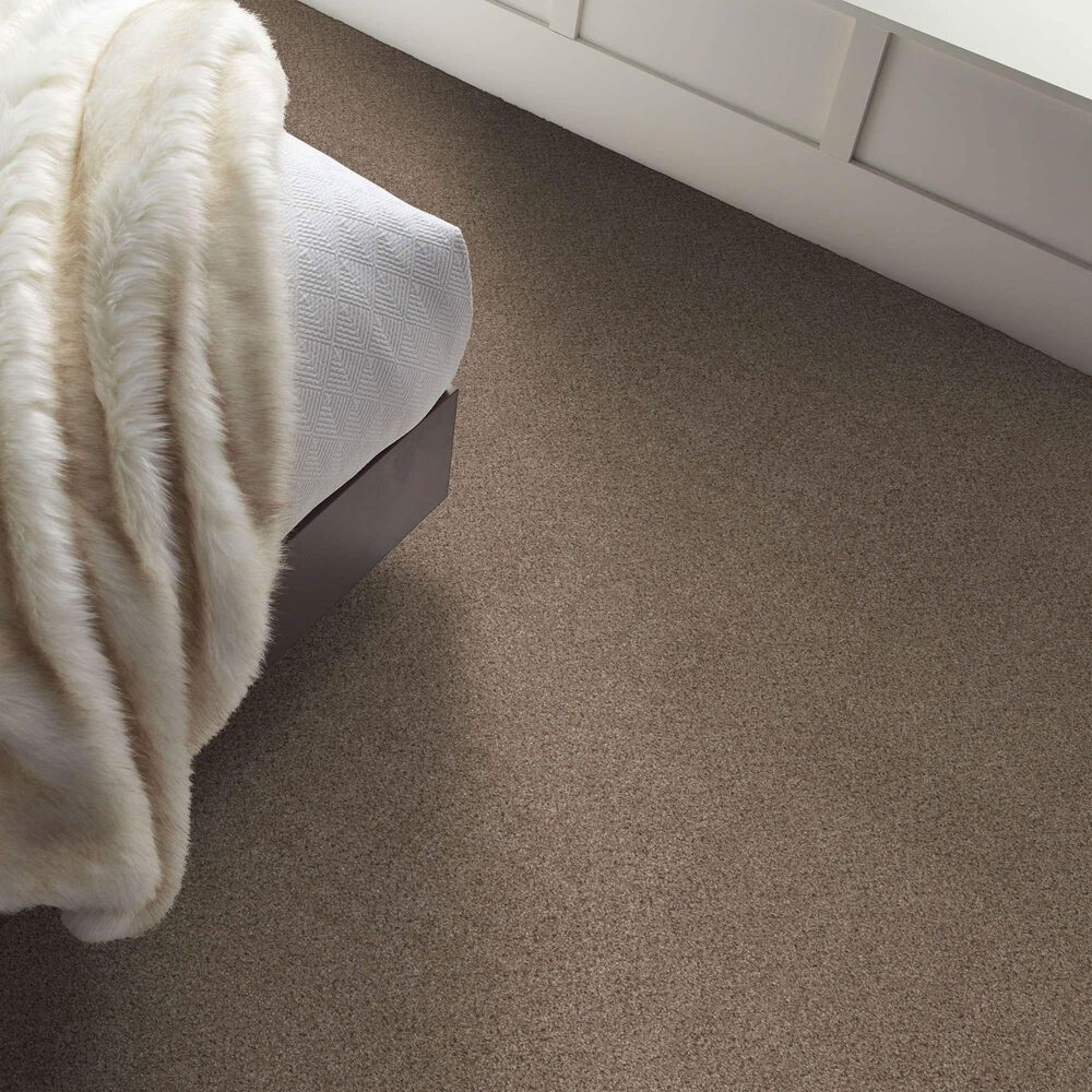 Shaw Abilene II Carpet in Arrowhead, , large