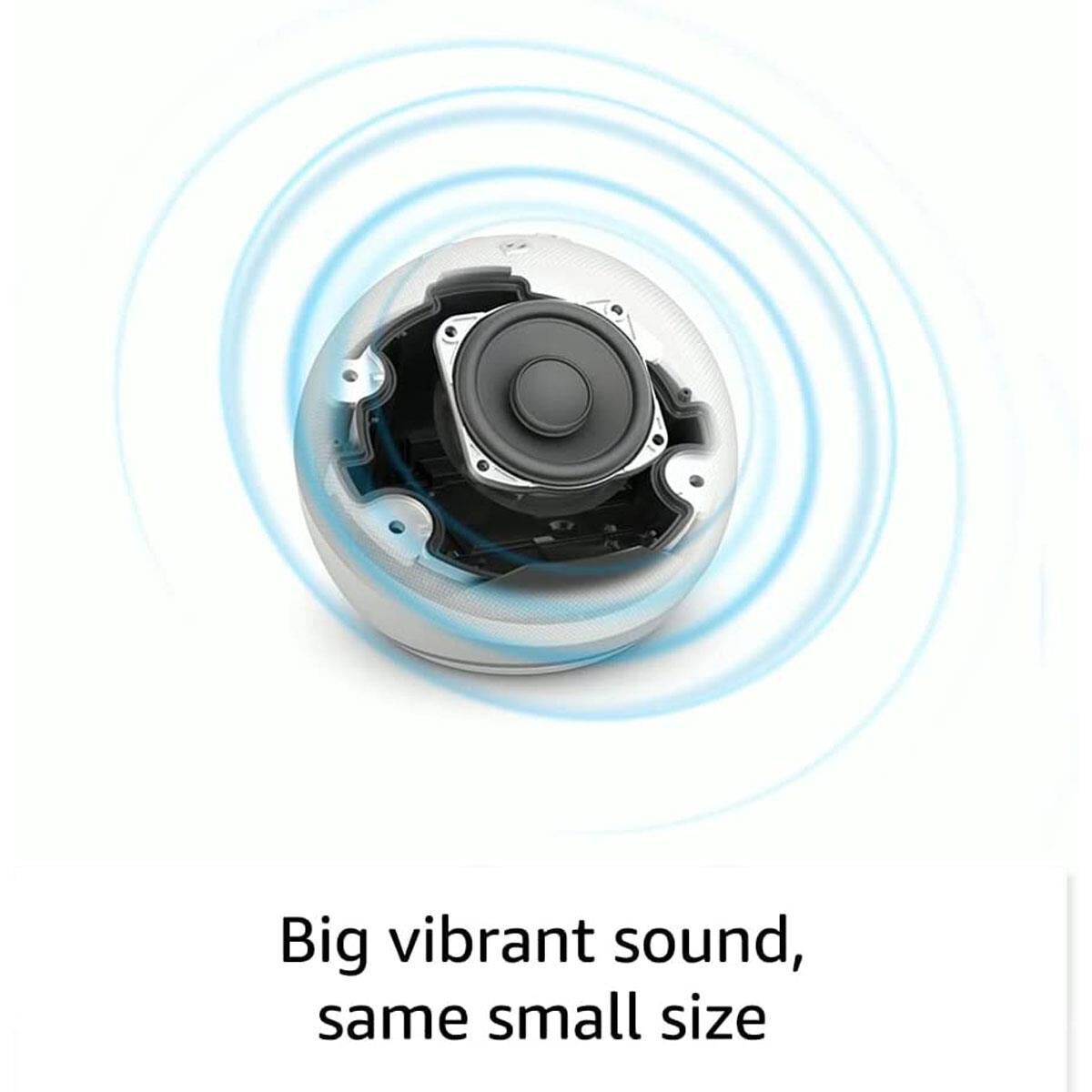 Echo best sale dot lento