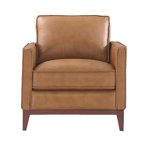 Italiano Furniture Newport Leather Chair in Camel