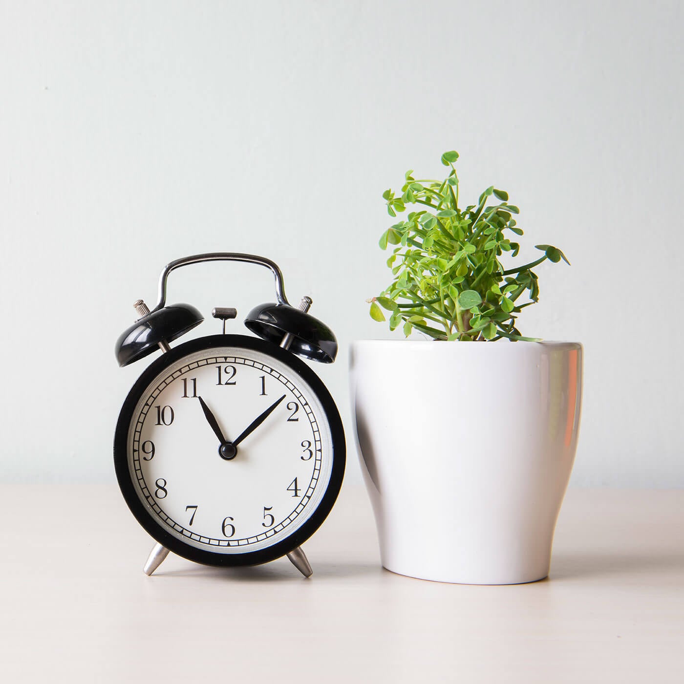 Desktop clock and plant on table top