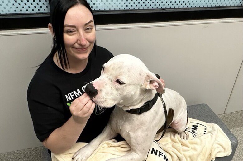 Group of NFM employees volunteering together at Animal Kennel