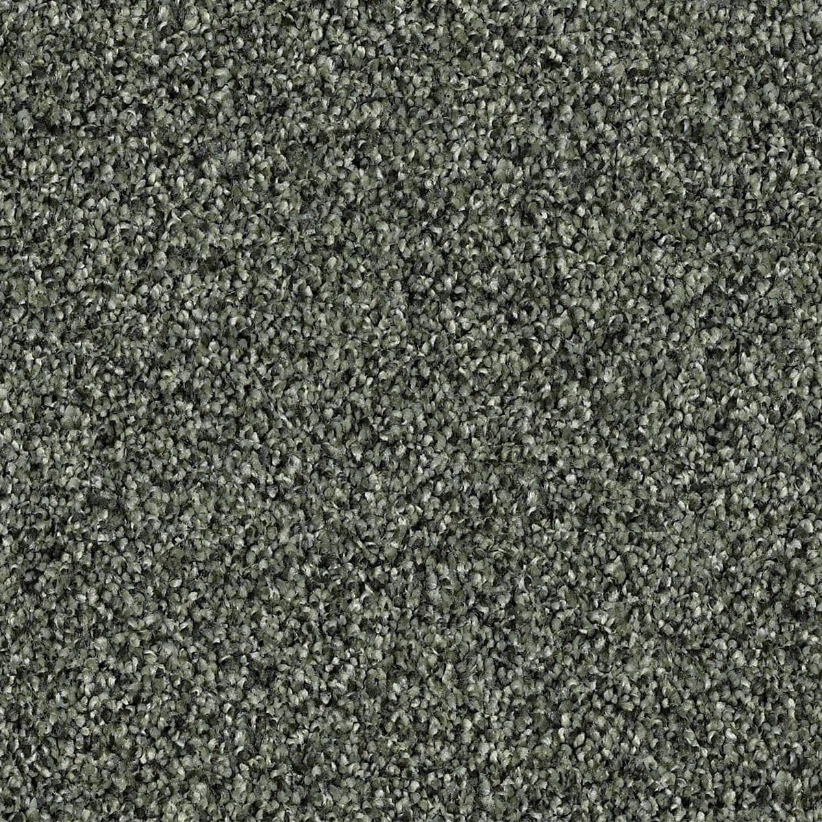 Shaw Palatial Carpet in Lush Nebraska Furniture Mart