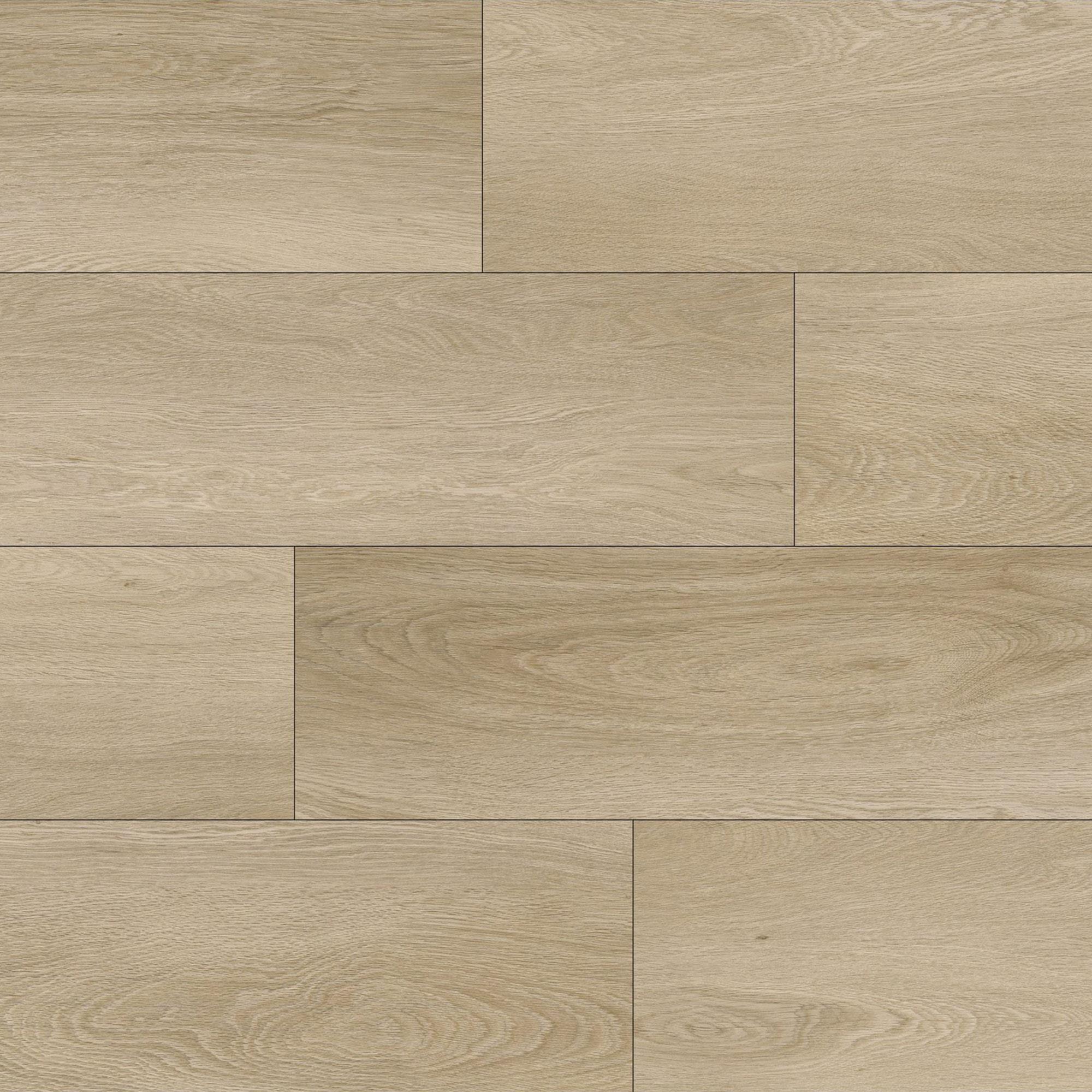 Fuzion Dynamix XL Grounded 9