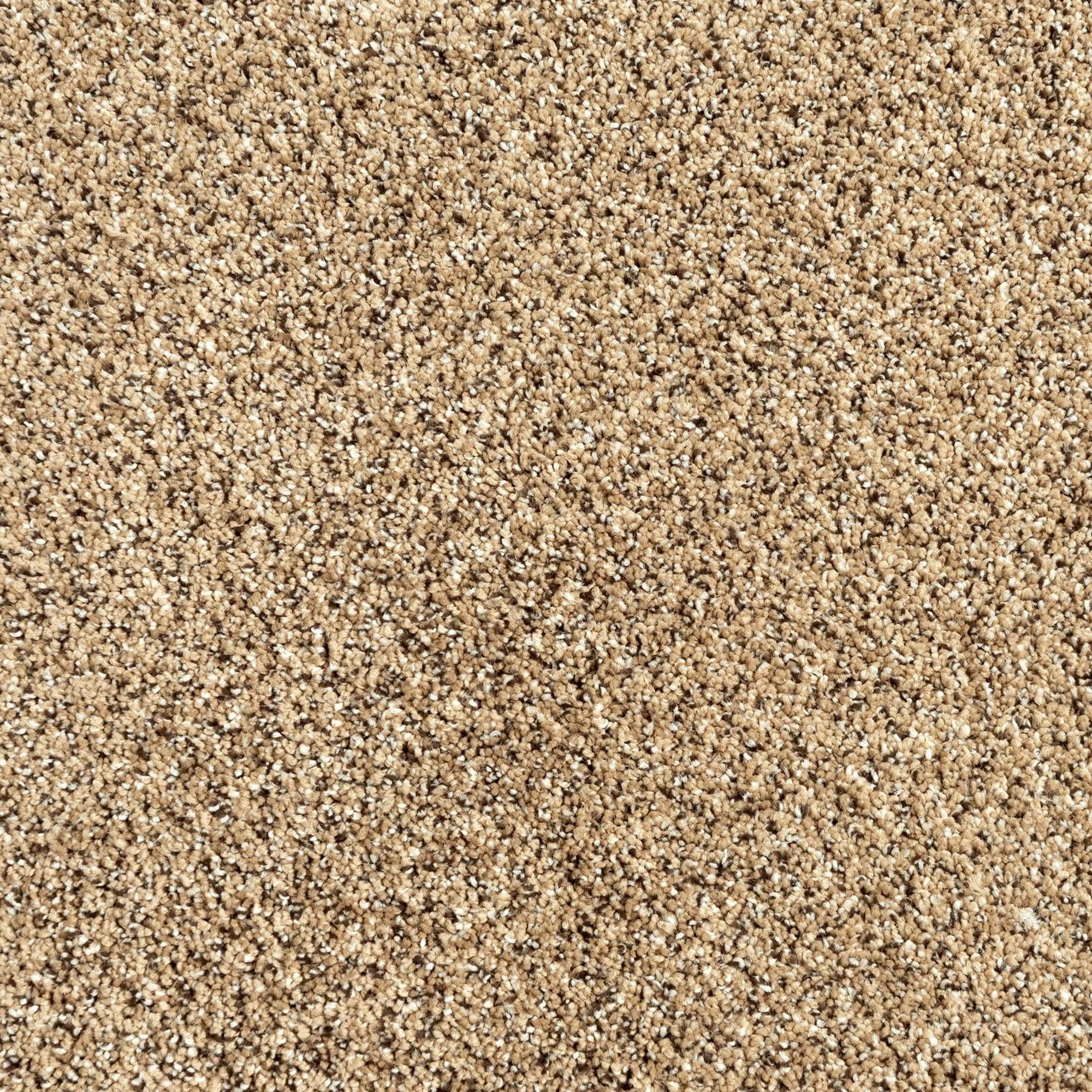 Mohawk Assorted Elements II Carpet in Fowler