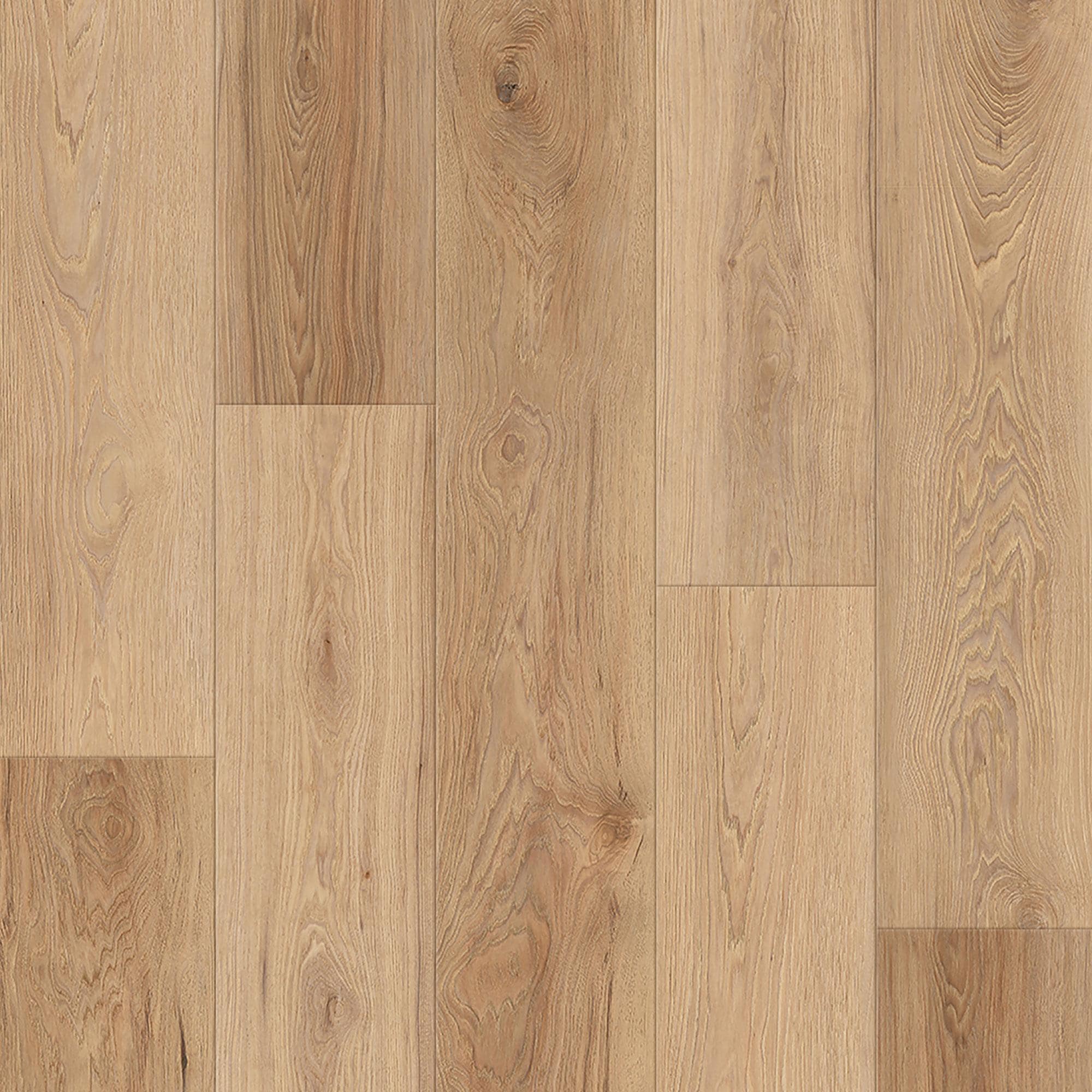 Lions Floor District Max Overland Park 7