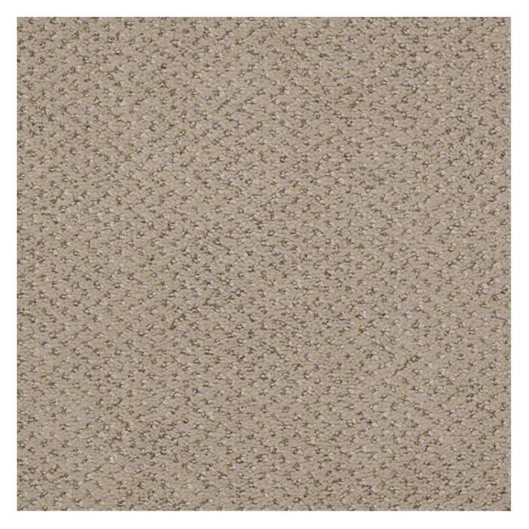 Shaw Legend Falls Carpet in Sun Valley Nebraska Furniture Mart