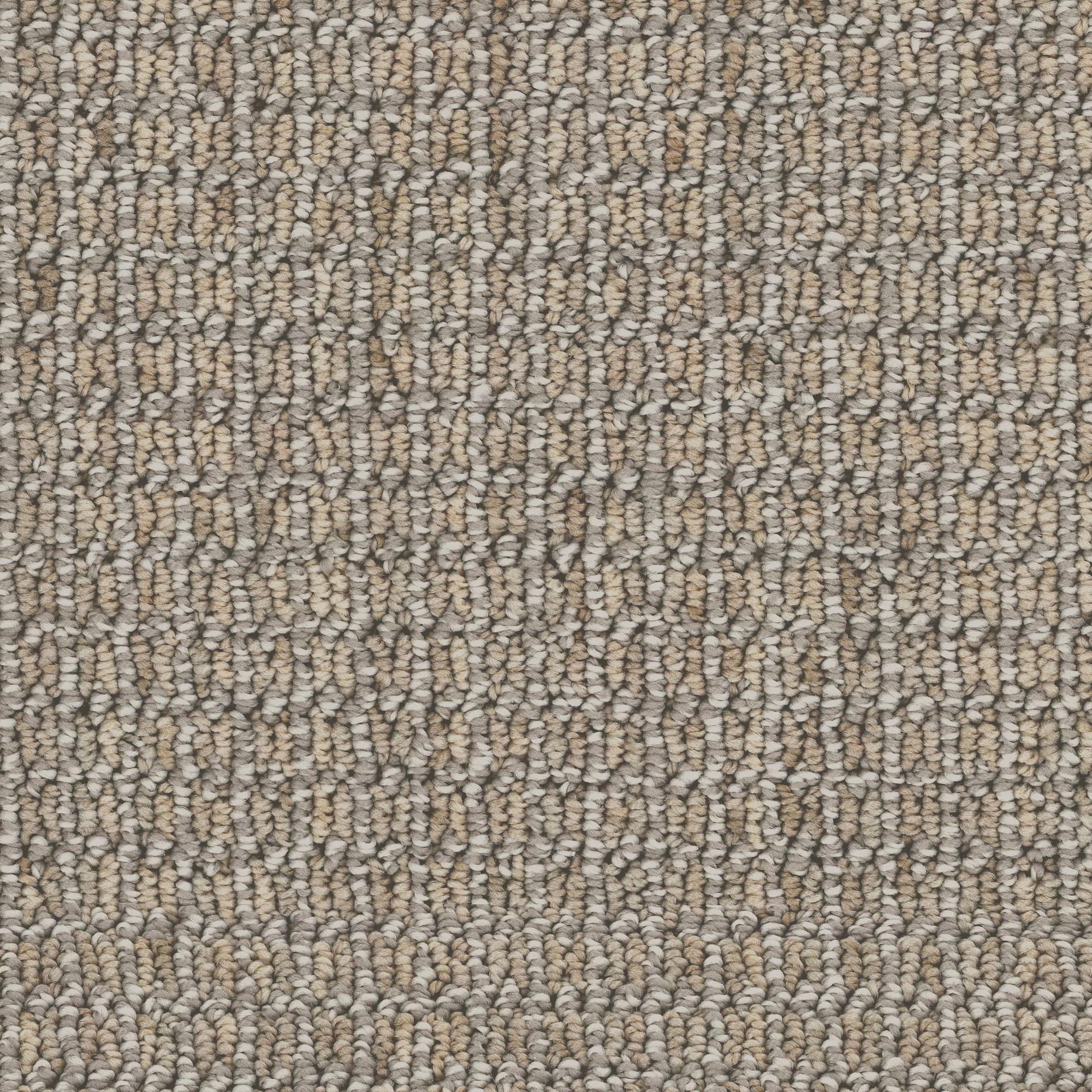 Dixie Home Oasis Carpet in Driftwood