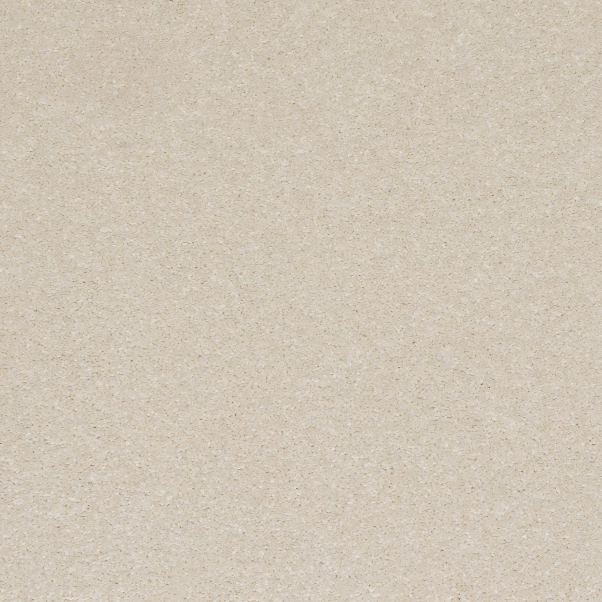 6834909-1.jpg