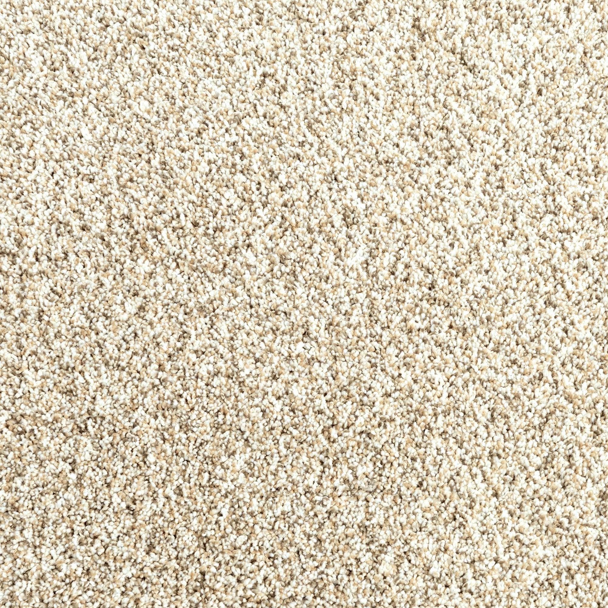 Mohawk Assorted Elements II Carpet in Sanderling