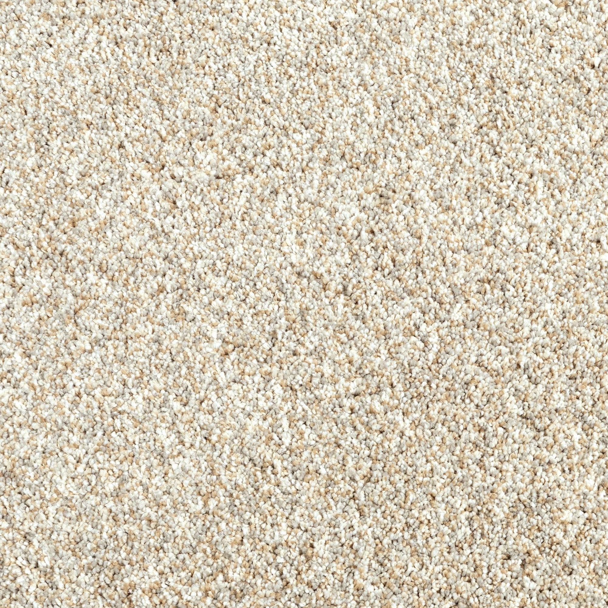 Mohawk Assorted Elements I Carpet in Stoney Path