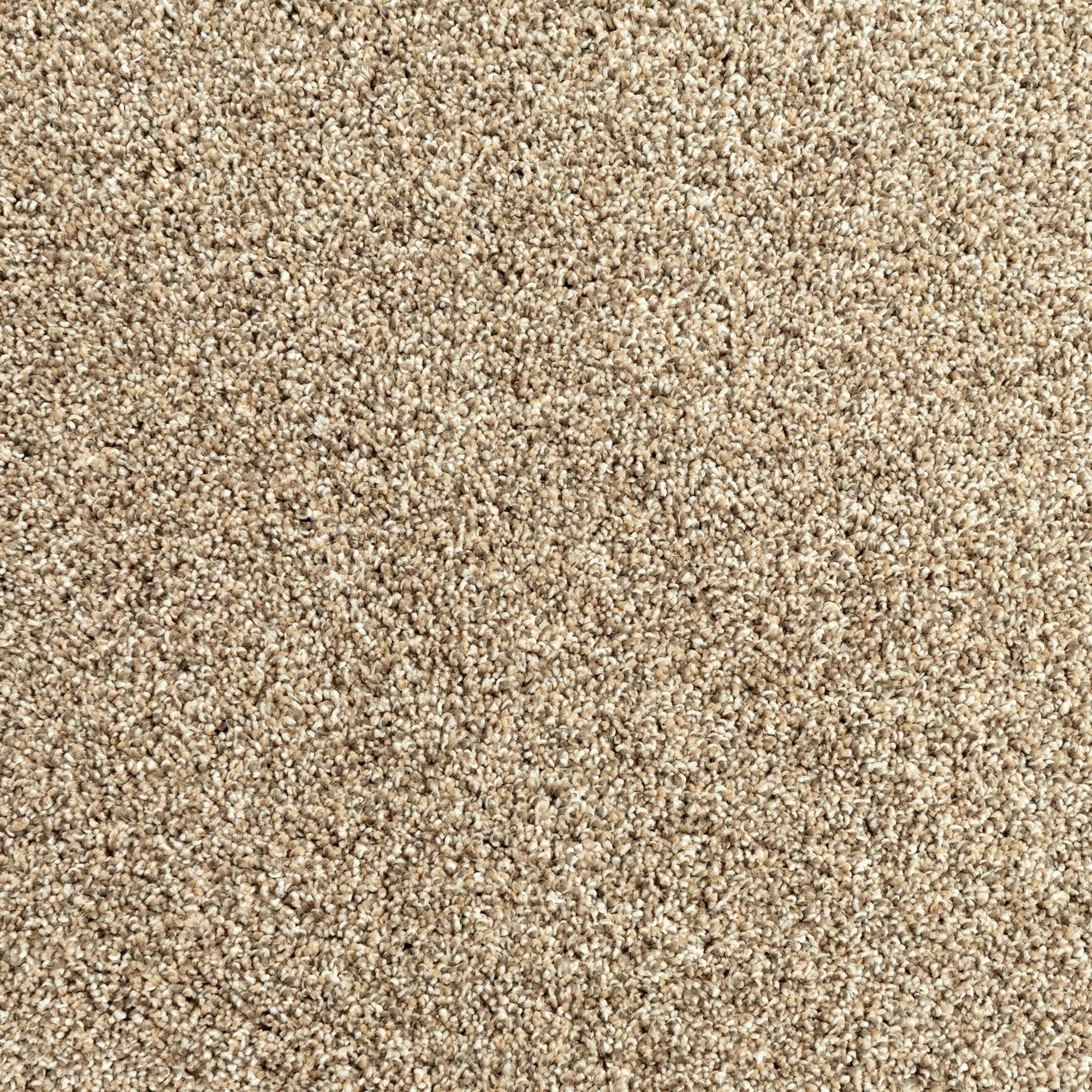 Mohawk Assorted Elements I Carpet in Flax Seed