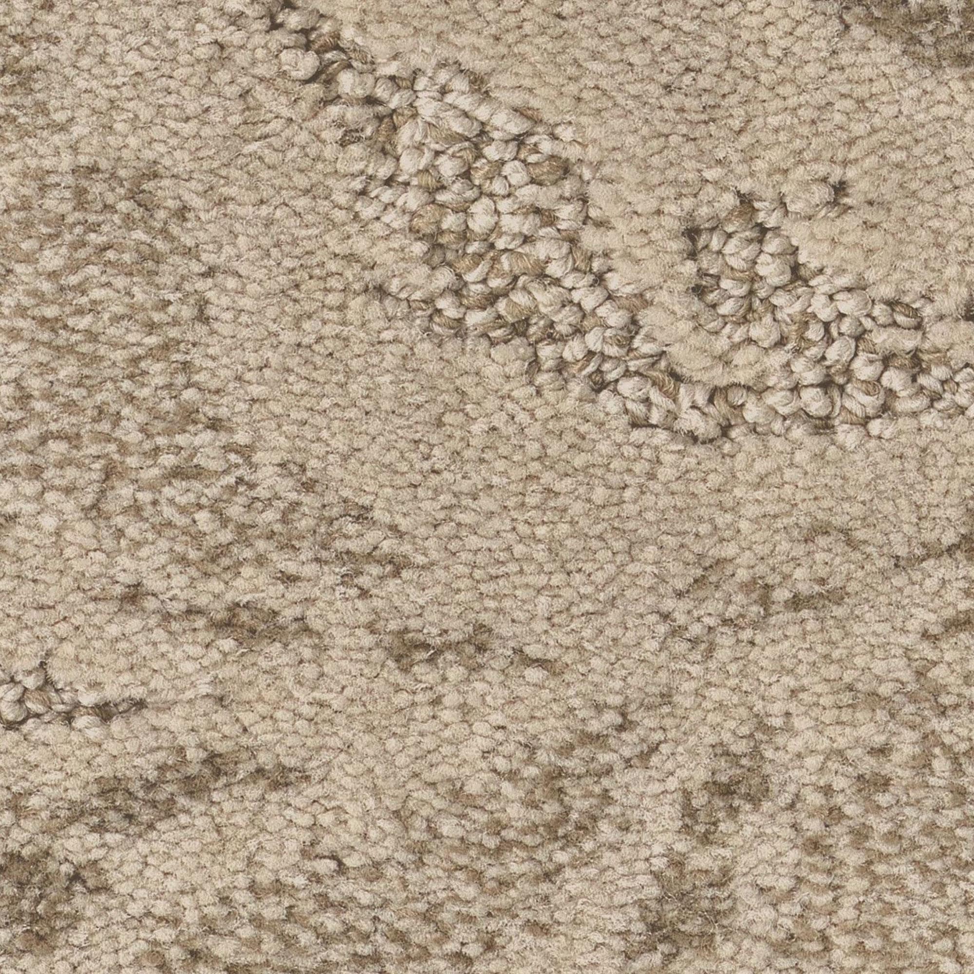 Anderson Tuftex Charismatic Carpet in Scroll NFM