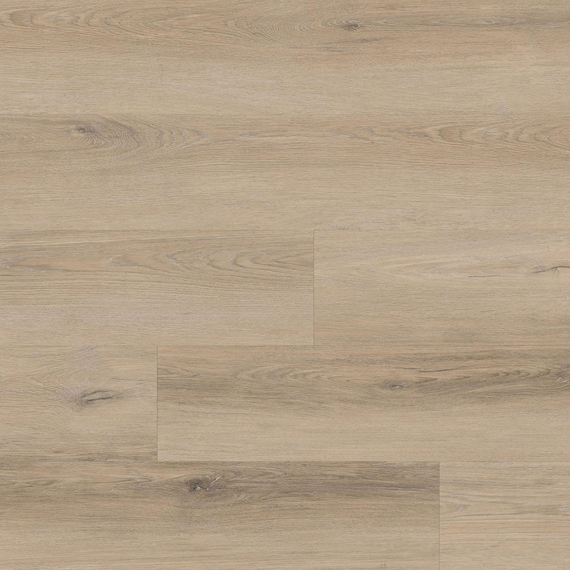 Fuzion Dynamix HardCore Coyote Storm 7