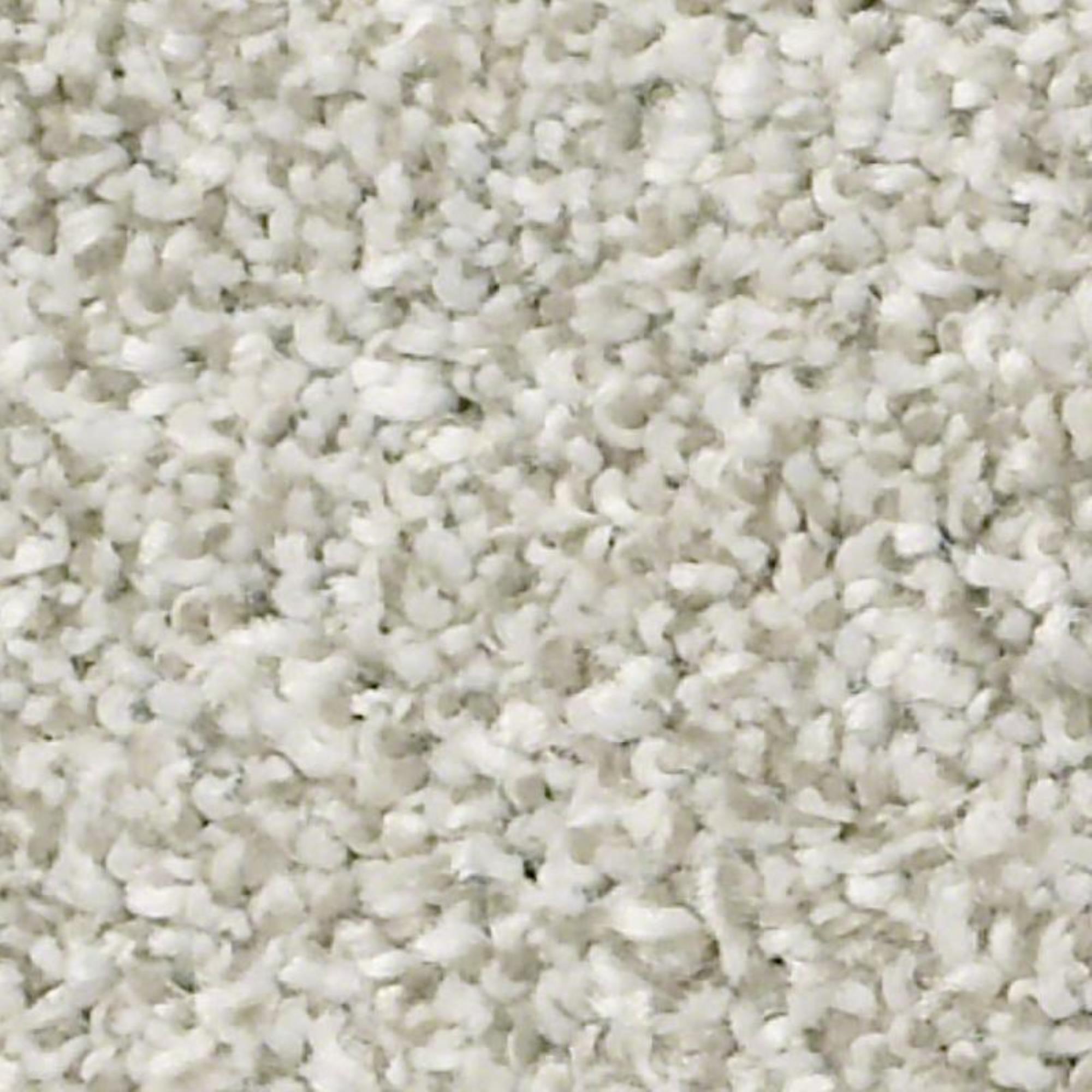 Shaw Just A Hint II Carpet in Platinum Shop NFM