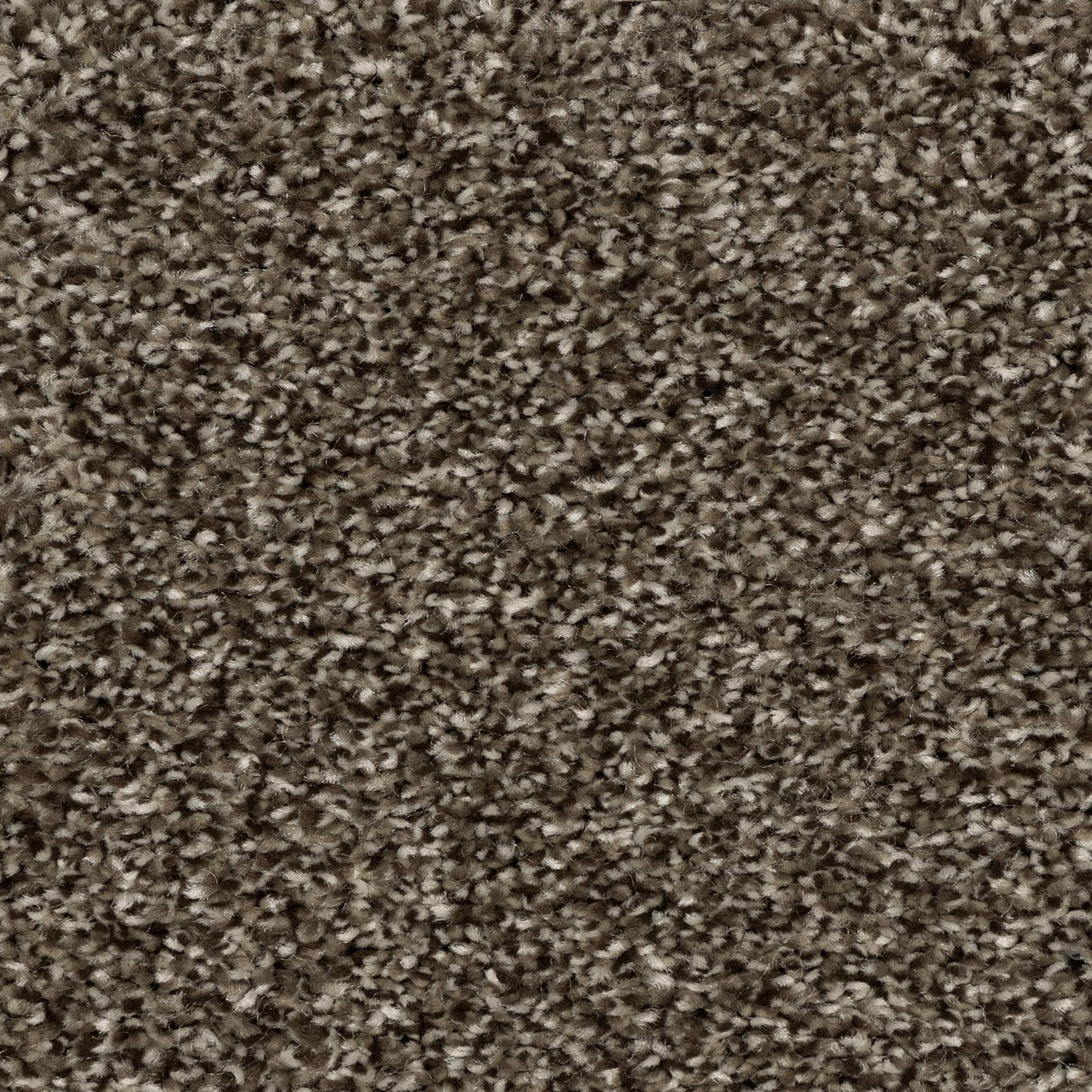 Mohawk Refreshing Shades Carpet in Powerful