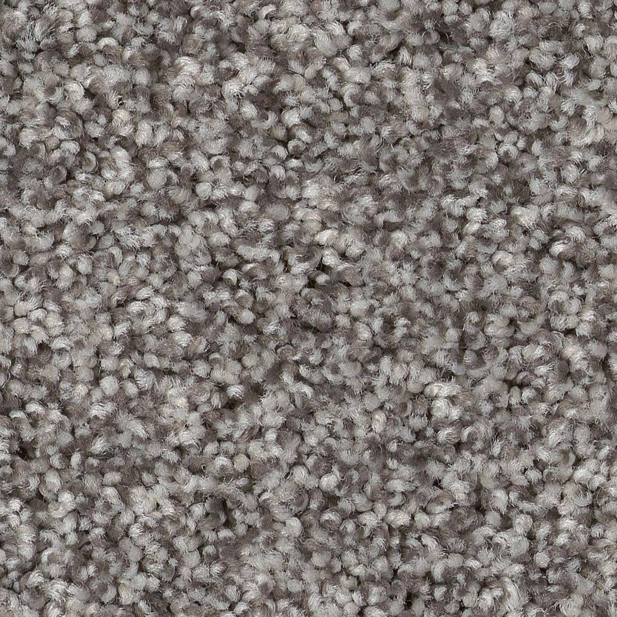 5916228-1.jpg