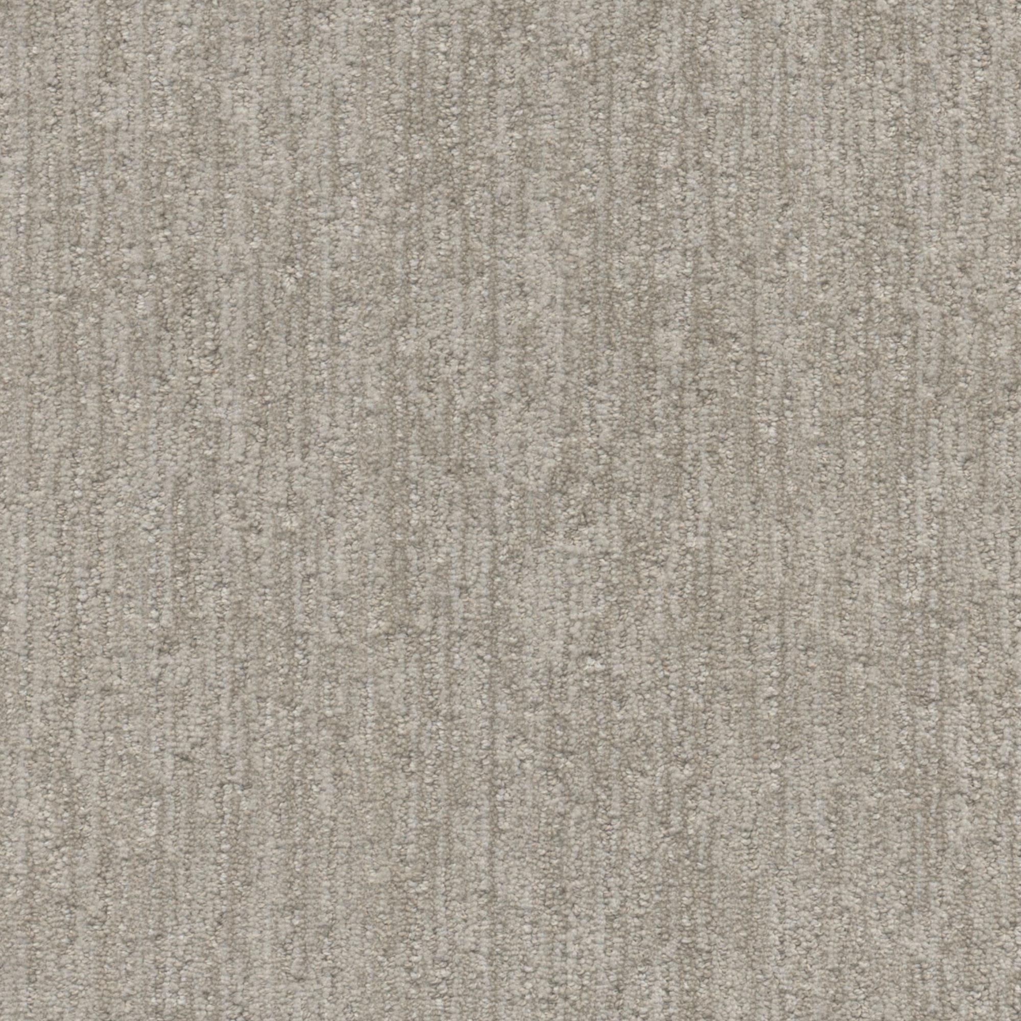 Dream Weaver Baja II Carpet in Sweet Spot