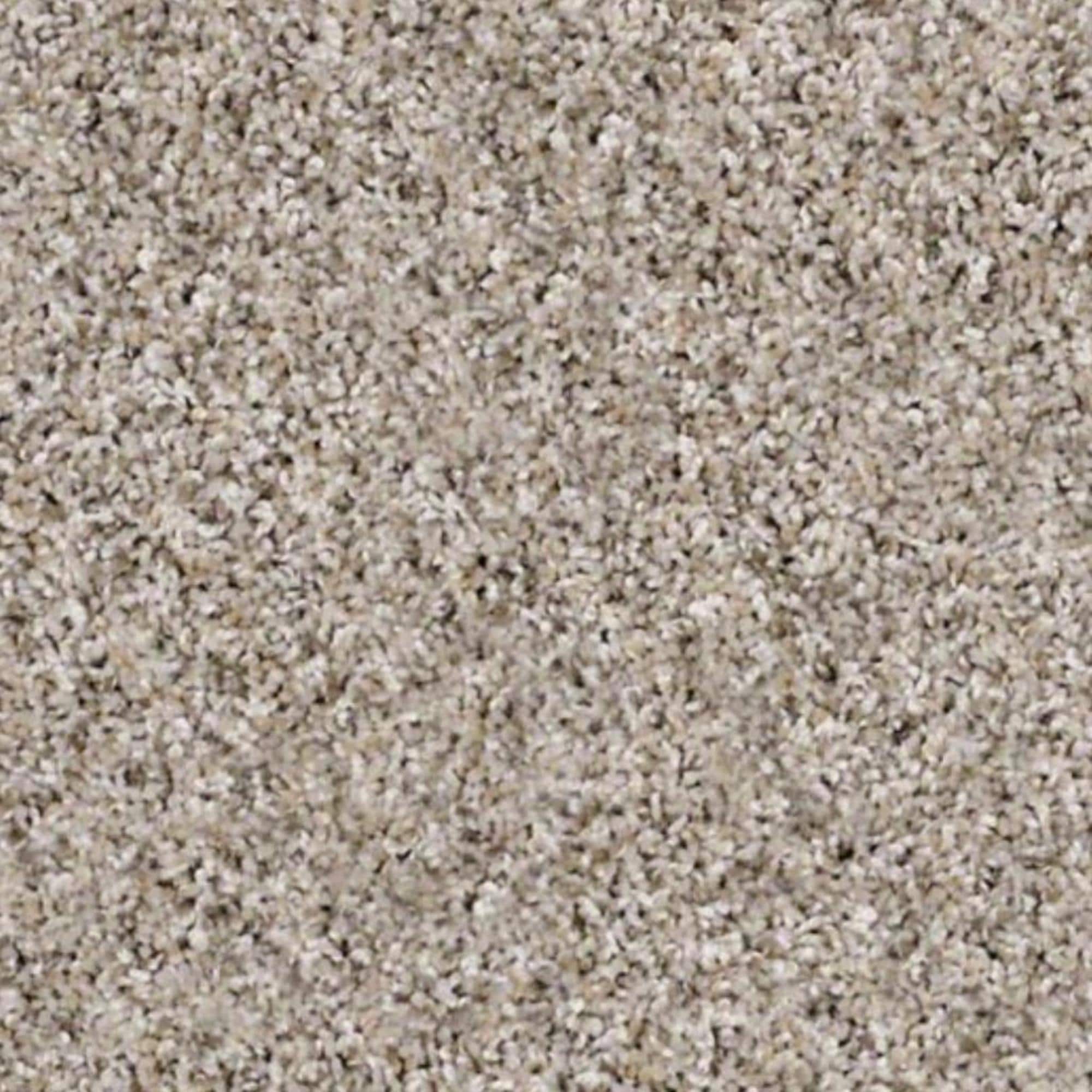 Shaw Frosting Carpet in Glacier NFM