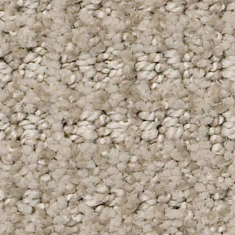 Shaw Insightful Way Carpet in Park Avenue NFM