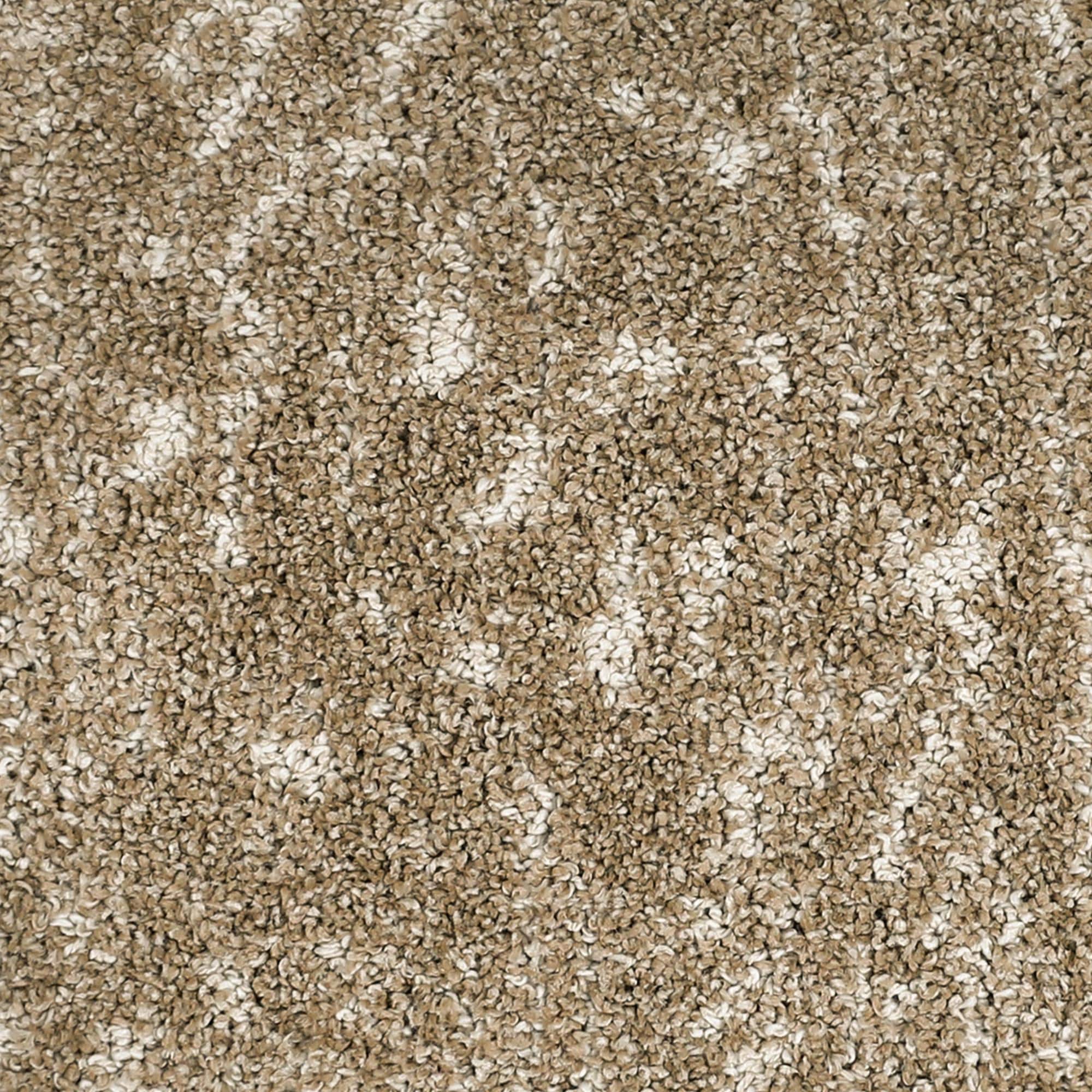 7338132-1.jpg