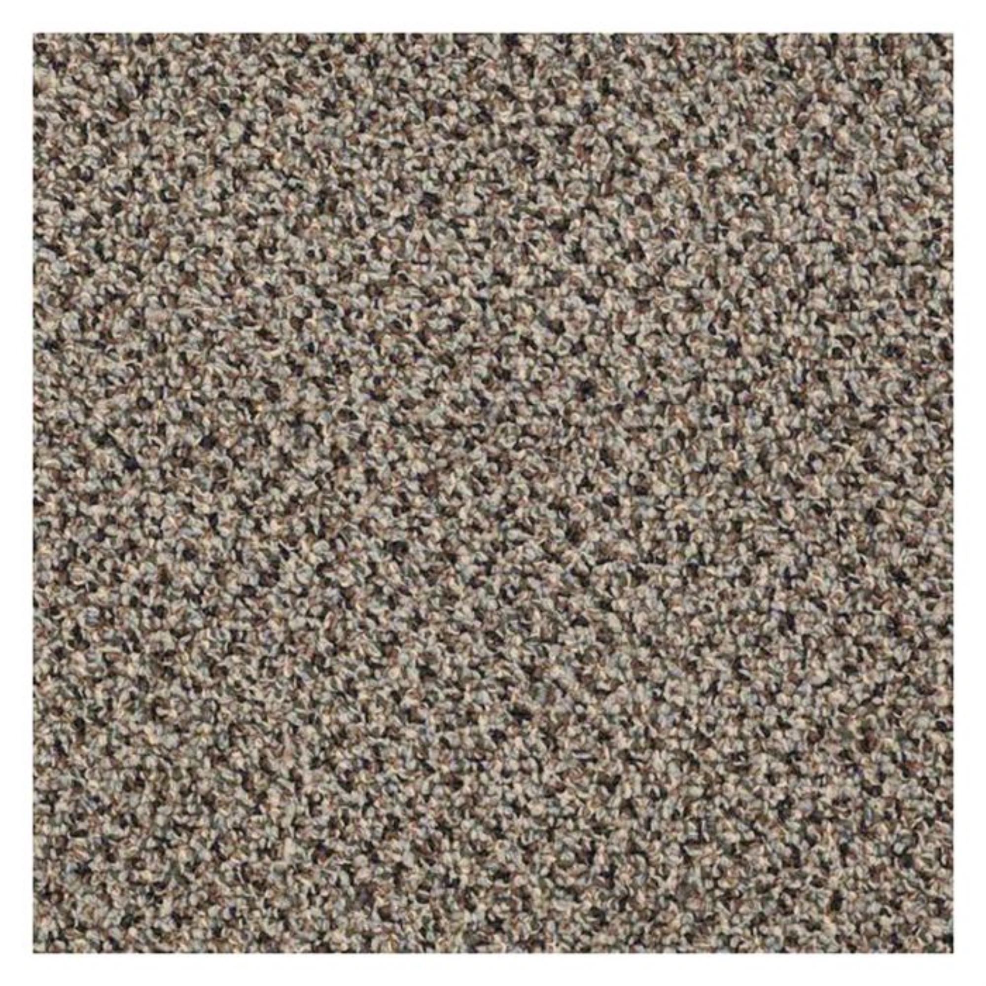 Shaw Speak Easy Carpet in Slow Down NFM