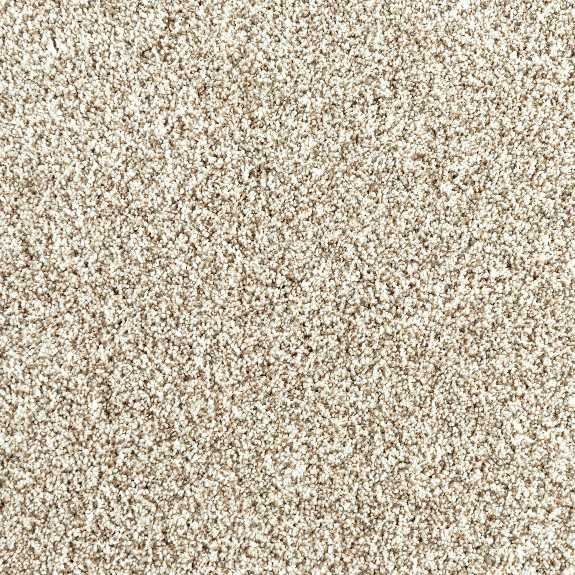 Mohawk Assorted Elements II Carpet in Elk Beige