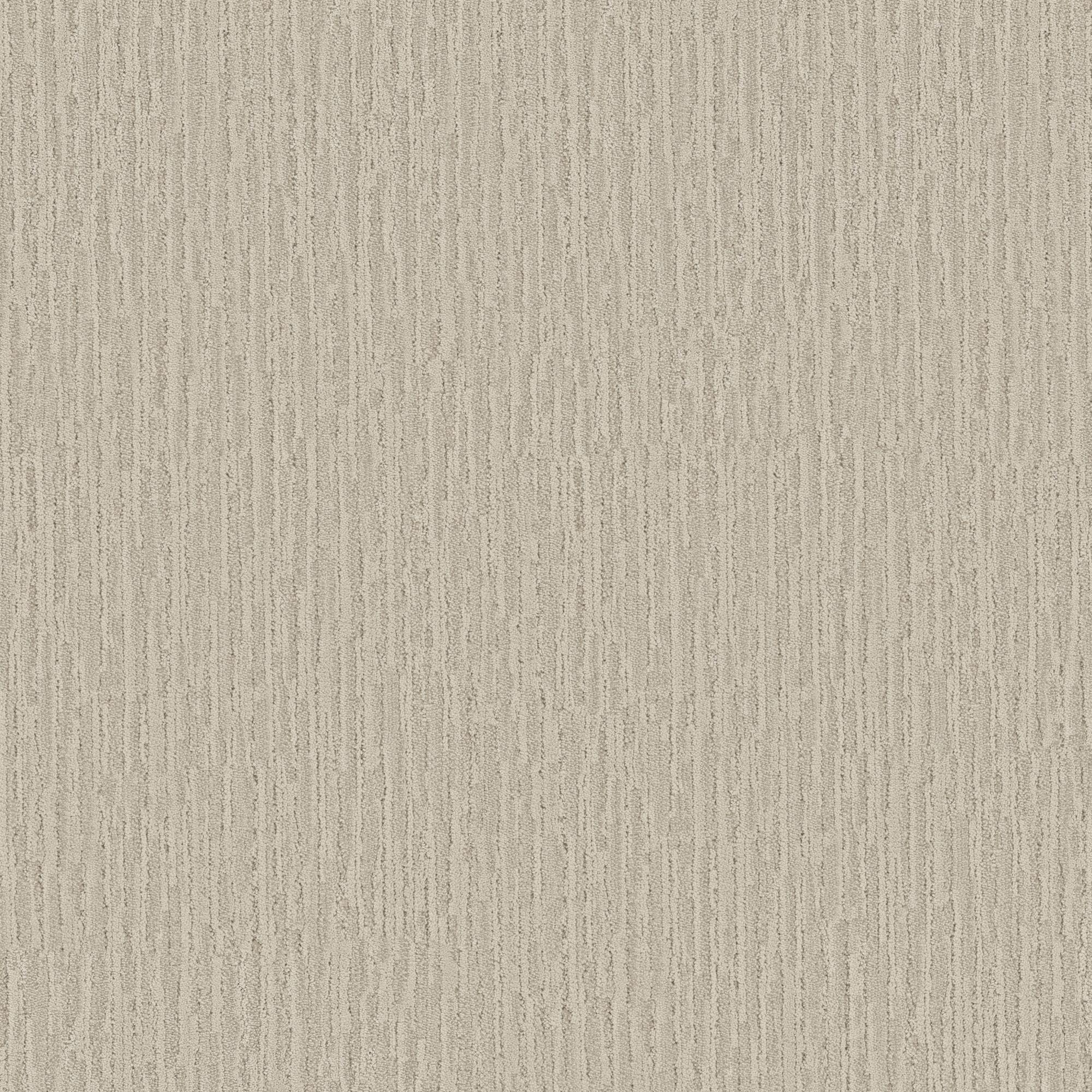 Anderson Tuftex Stitch Carpet in Grain