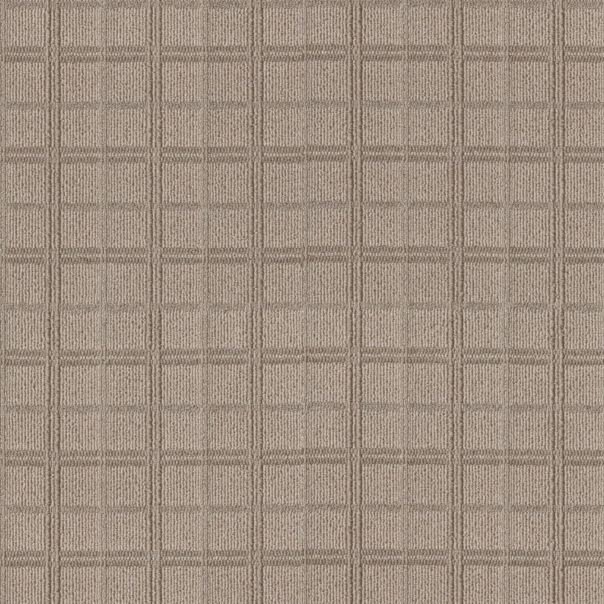 Anderson Tuftex Breeze Block Carpet in Basket