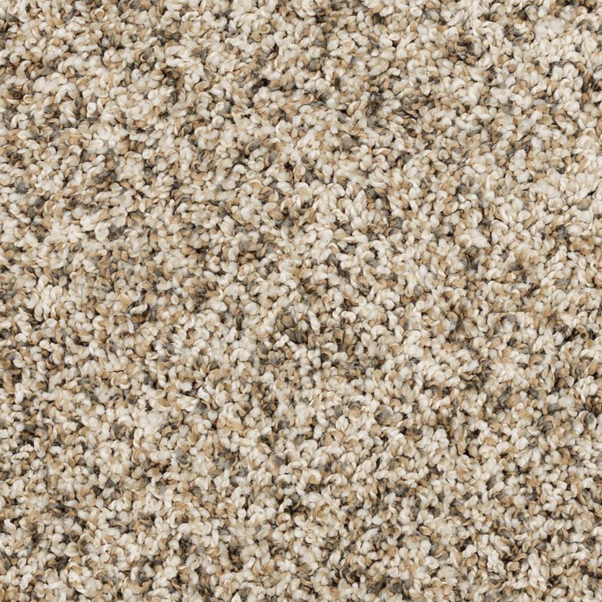 Mohawk Raise The Woof I Carpet in Frosty Spice