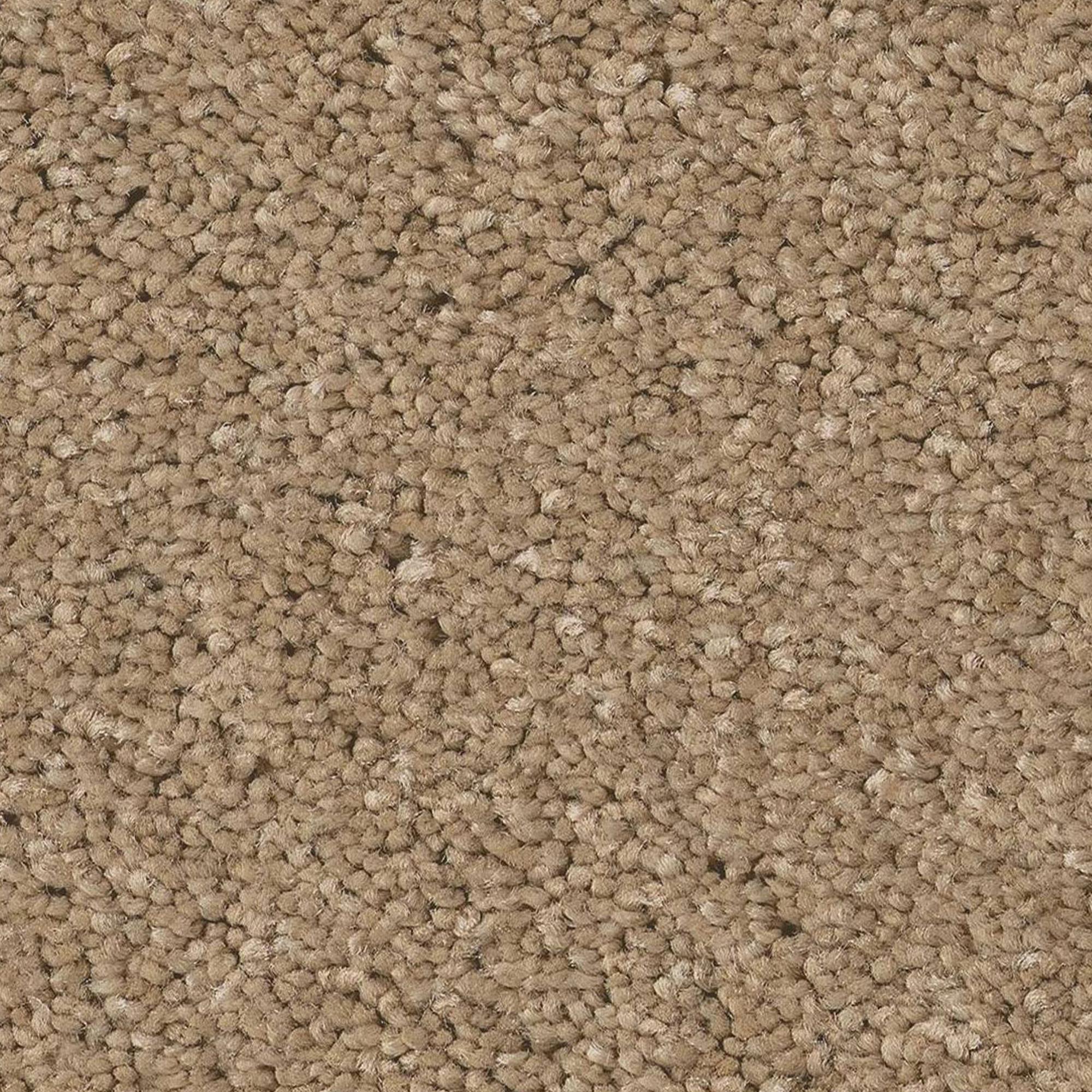 Anderson Tuftex Enchanting Carpet in Natural Nebraska Furniture Mart