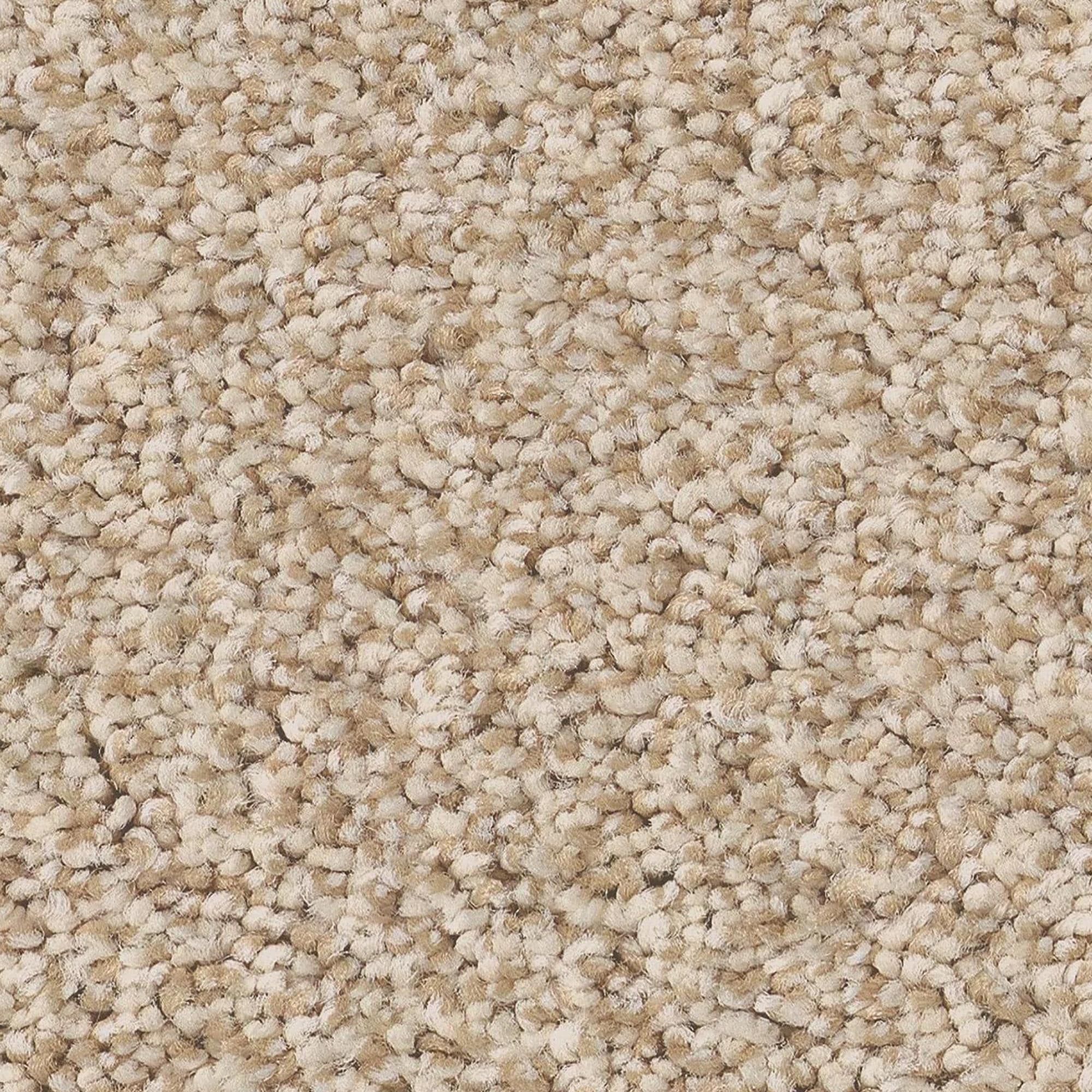 Anderson Tuftex Avalon Bay Carpet in White Mocha
