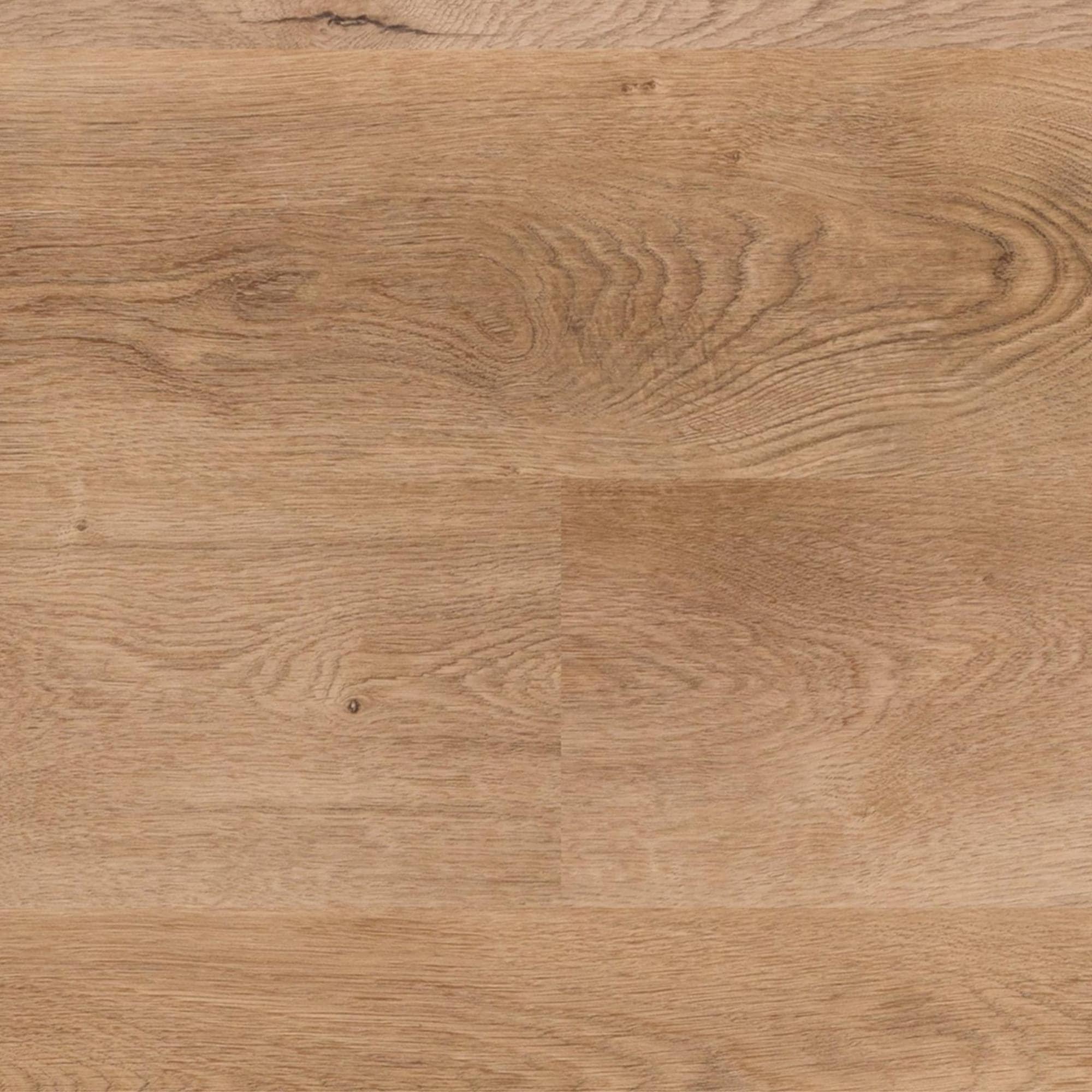 Fuzion Dynamix HardCore Coyote Storm 7