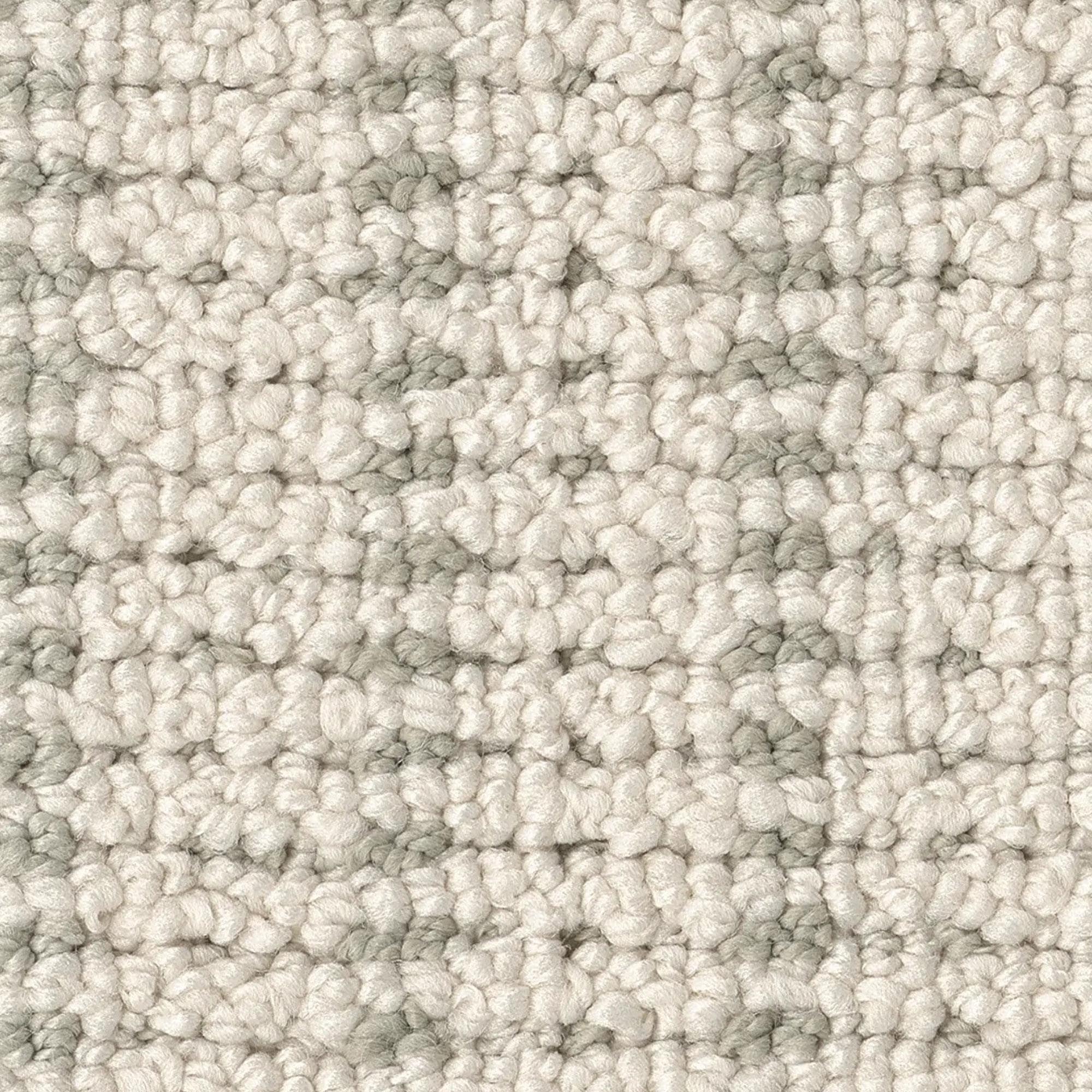 Anderson Tuftex Laken Carpet in Wind Swept