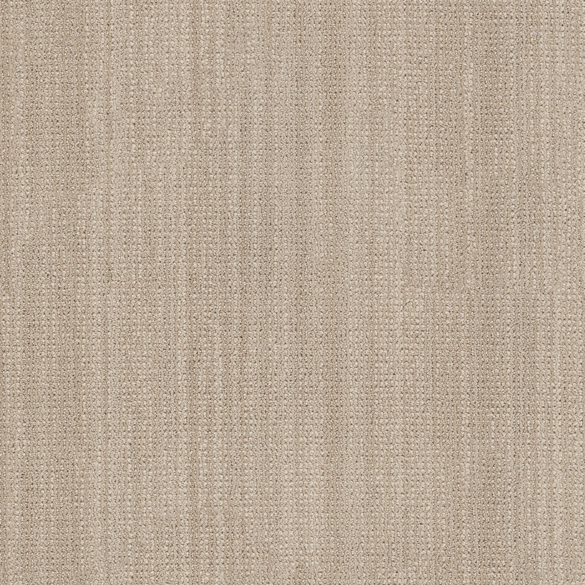 Anderson Tuftex In Rhythm Carpet in Windmill