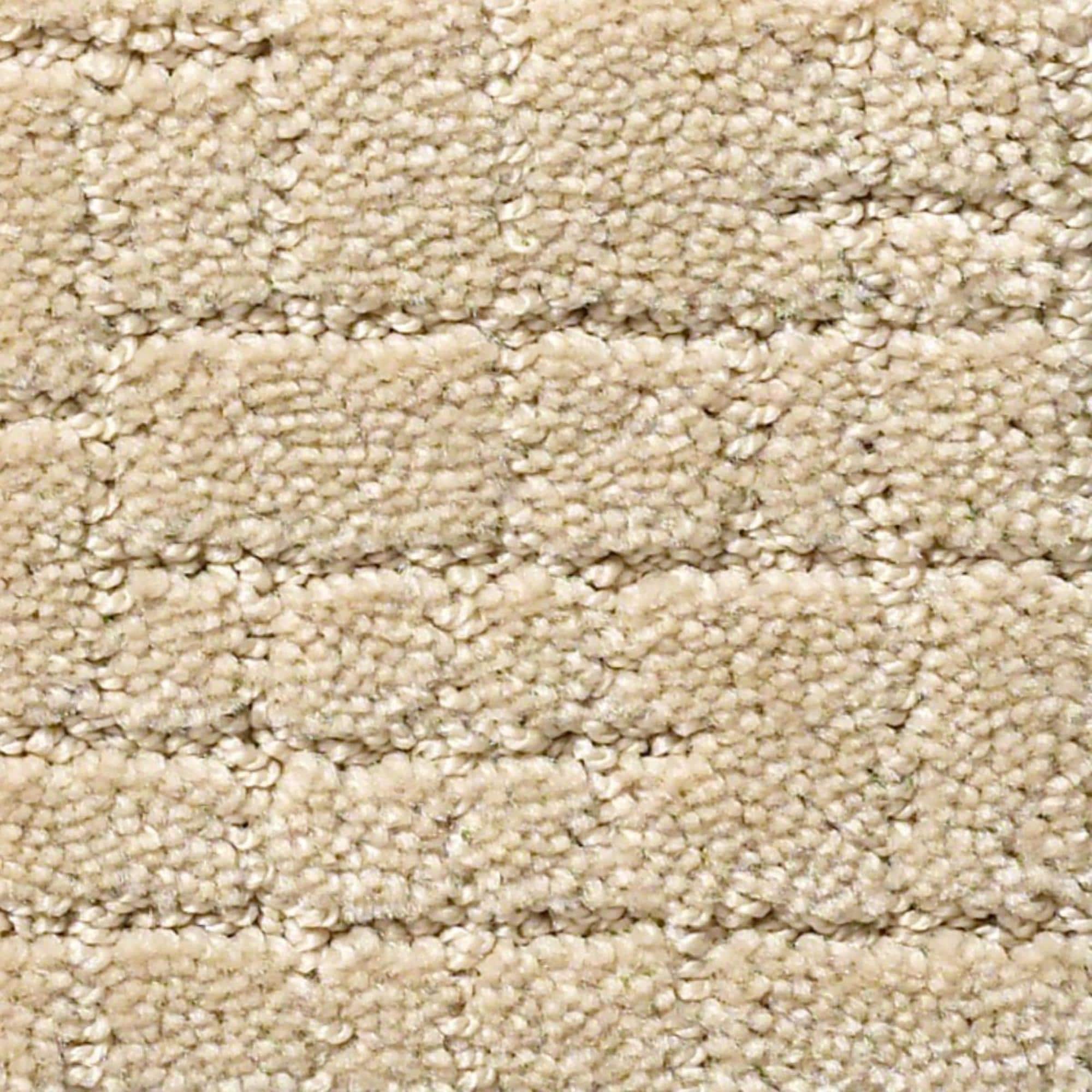Anderson Tuftex New Tricks Carpet in Hazelnut