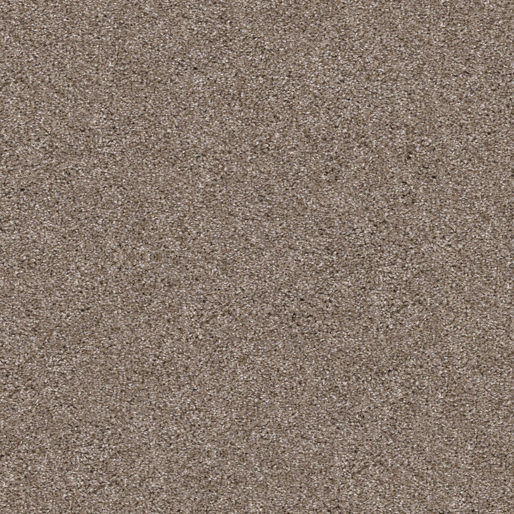 Philadelphia Yes You Can II Carpet in Cameo Shop NFM