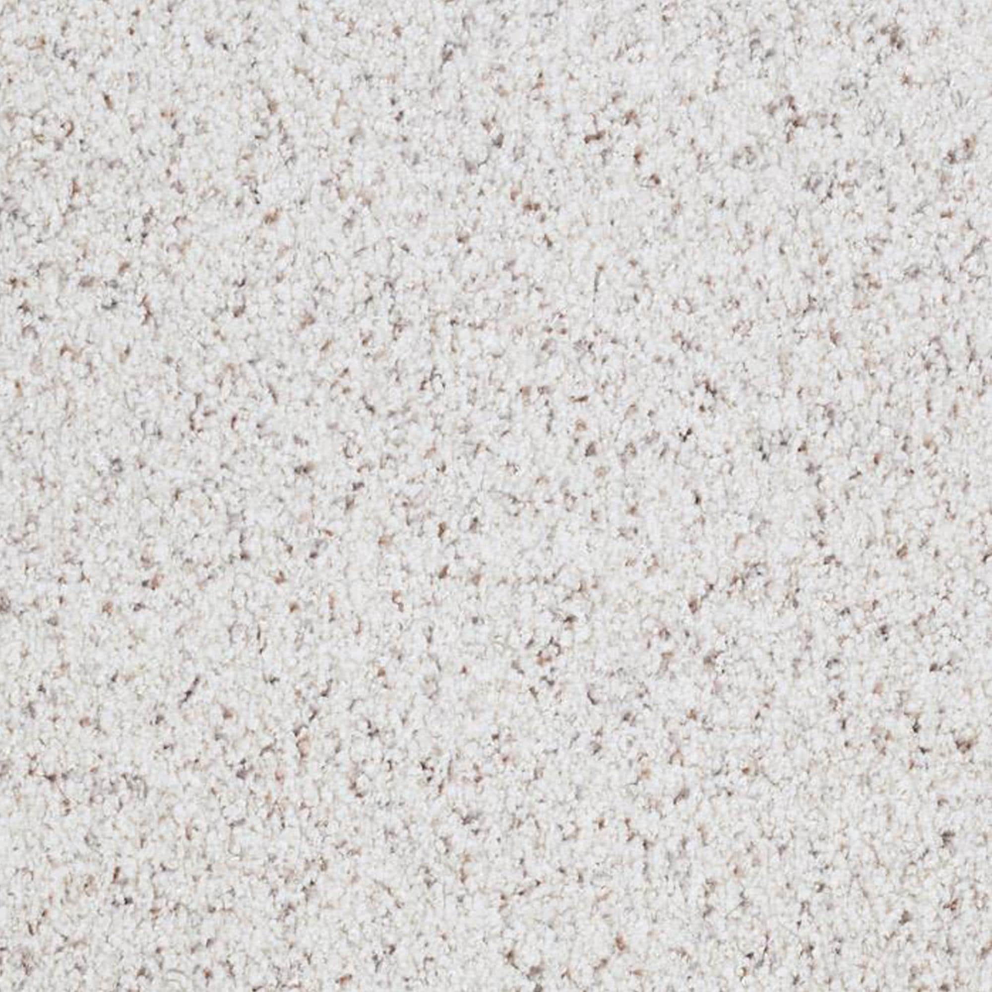 Masland Carpets Inc San Juan Carpet in Absolute NFM